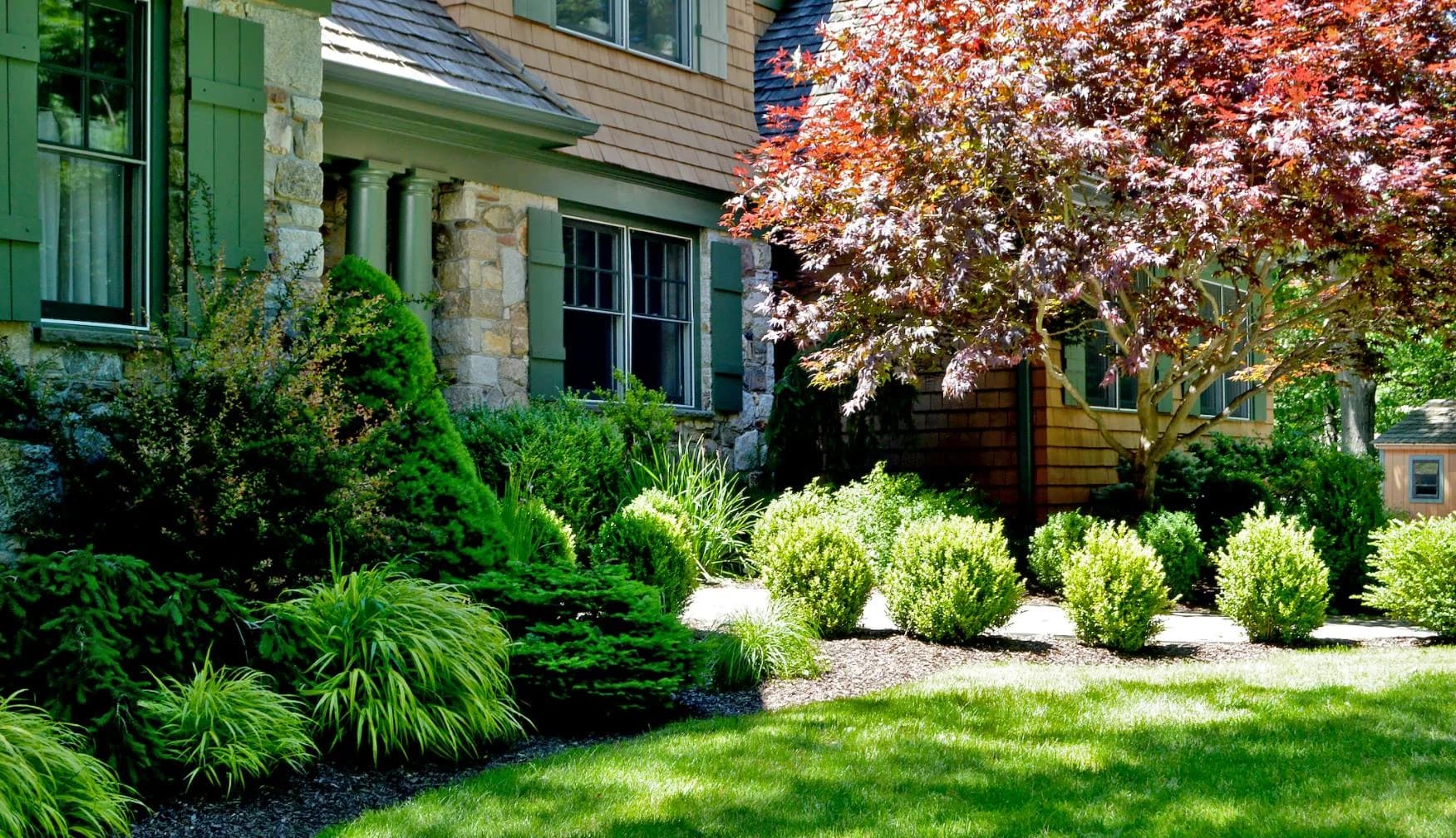Tree & Shrub Planting Services in Lakeville, MN