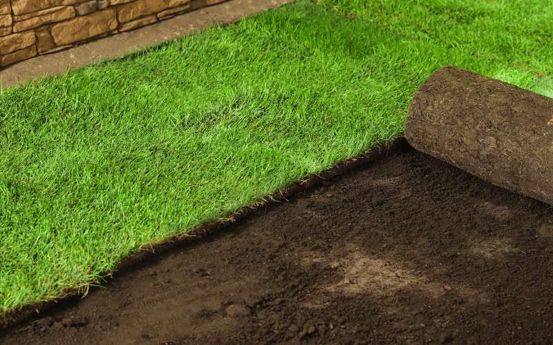 Sod Installation Services in Lakeville, MN