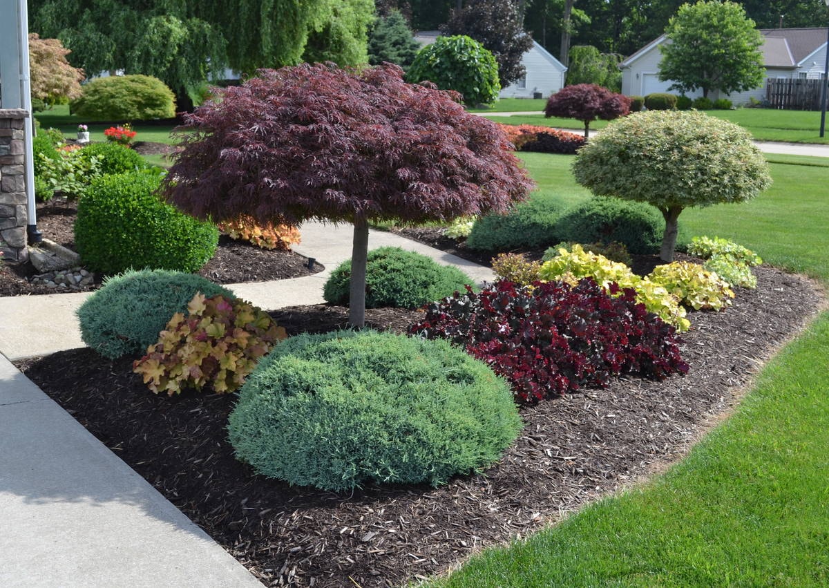 Landscape Design in Apple Valley project 6
