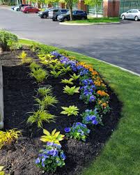 Tree & Shrub Planting in Eagan project 6