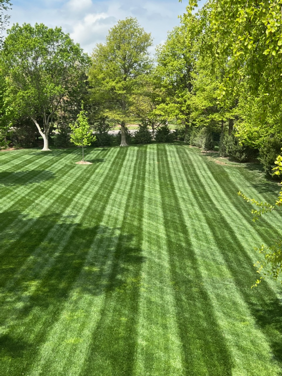 Lawn Mowing in Lakeville