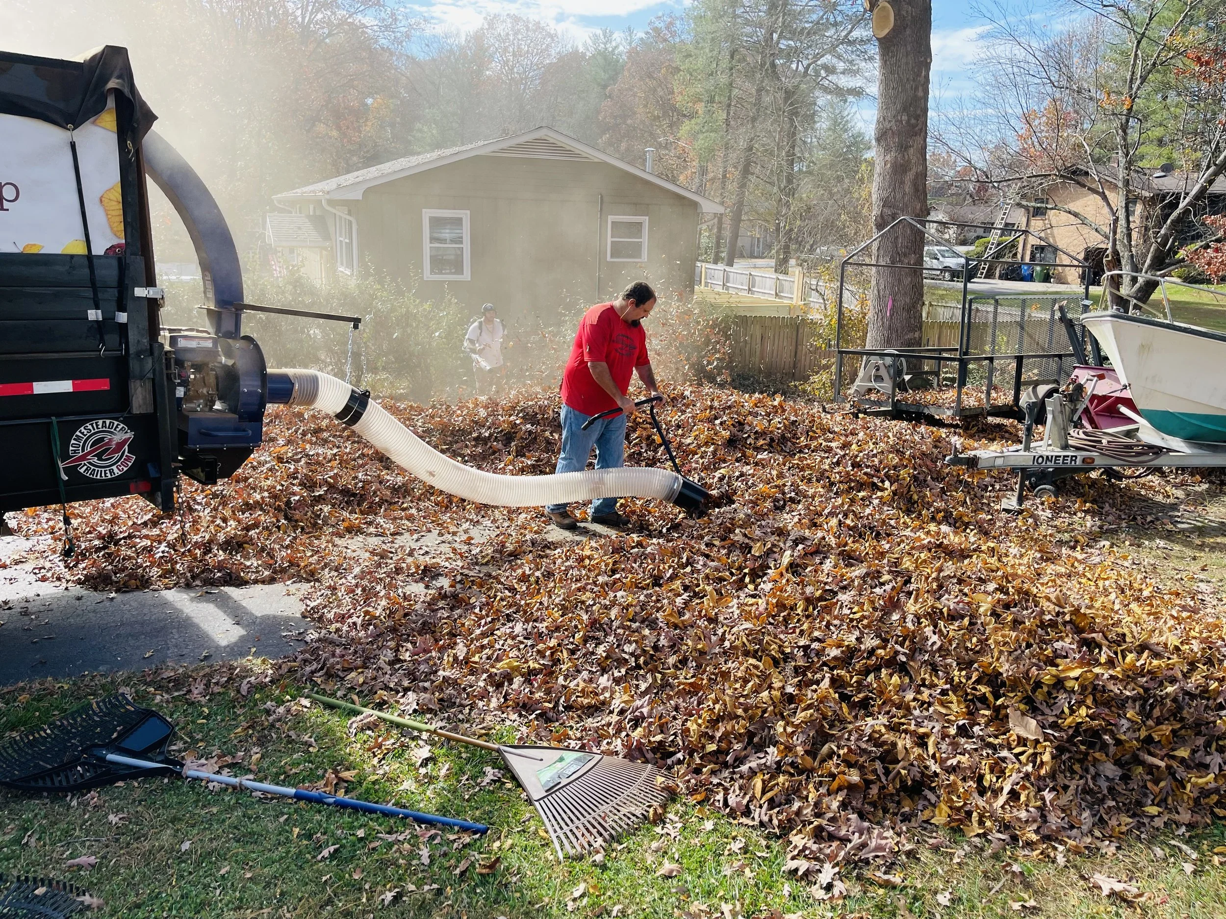 Leaf Removal in Lakeville
