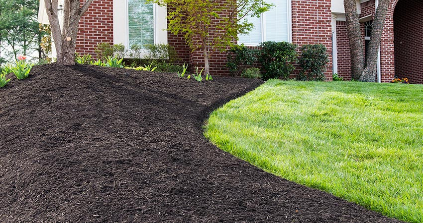 Mulching & Bed Care in Lakeville