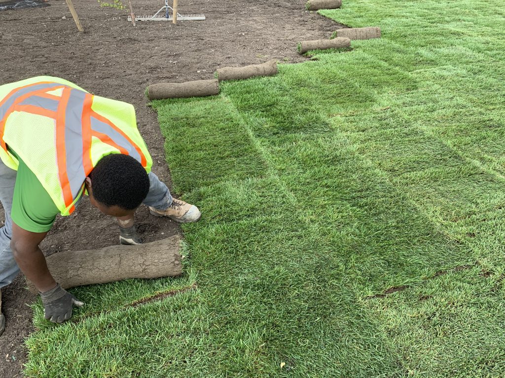 Sod Installation in Lakeville